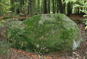 Vorschaubild Hünengräber rund um Neukloster