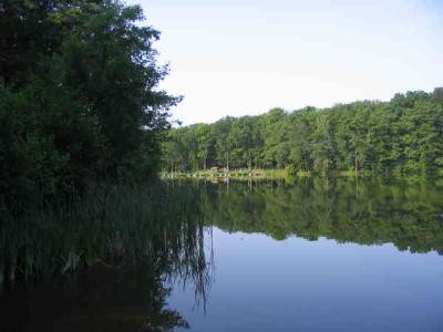 Vorschaubild Naturbadestellen am Gohlitzsee