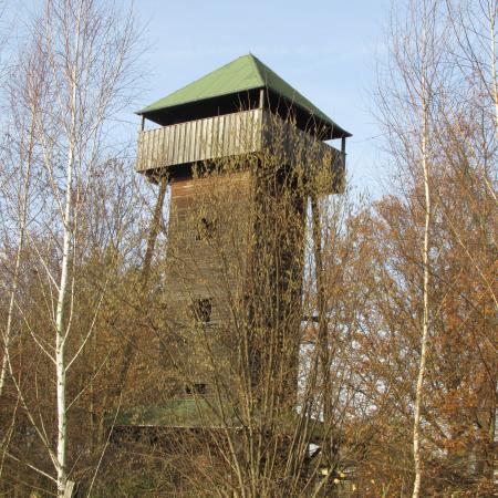 Vorschaubild Kranichturm Freesdorf