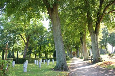 Vorschaubild Kriegsgräber - Friedhof