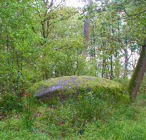 Vorschaubild Riesenstein bei Ponitz