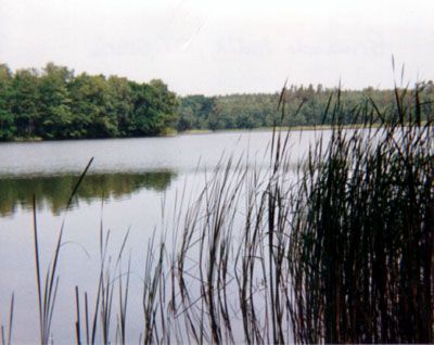 Oderiner See
