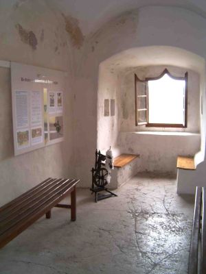Vorschaubild Museum für Vor- und Früh- sowie Stadtgeschichte in der Wasserburg Egeln