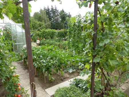 Vorschaubild Obst – und Gartenbauverein Simmershofen-Walkershofen