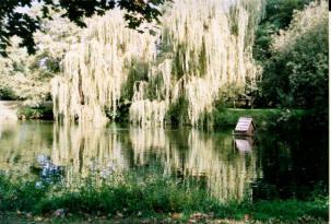 Idyllischer Anblick - Teich am Schlosspark