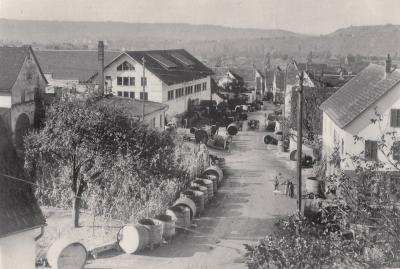 Vorschaubild Käsbergkeller Mundelsheim