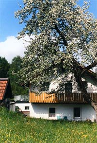 Vorschaubild Ferienhaus Schwarzmaier
