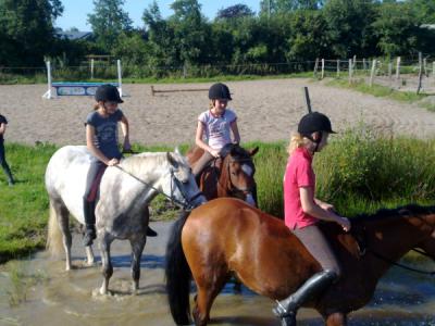 Vorschaubild Pferdesportgemeinschaft  Flensburg-Land