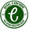 Vorschaubild BSG Chemie Schwarzheide e. V.