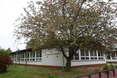 Vorschaubild Grundschule Schönfeld