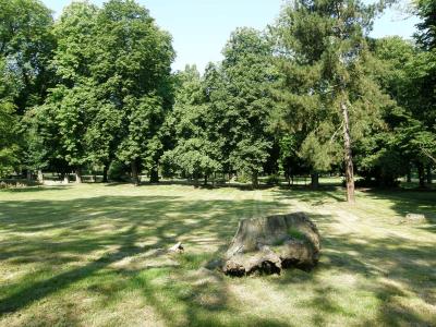 Schlosspark in Dahme/Mark