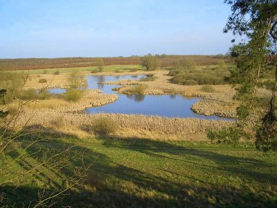 Naturschutzgebiet Rothenmoorsche Sumpfwiese