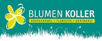 Vorschaubild Koller GmbH Blumen-Großhandel