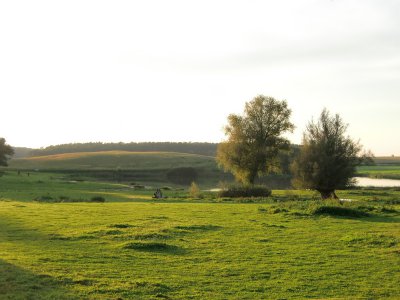 Naturschutzgebiet Schanzenberge bei Mankmoos