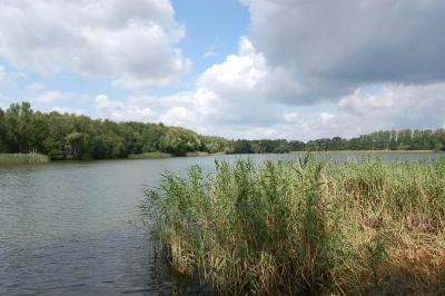 Vorschaubild Falkenhagener und Neuer See