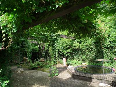 Vorschaubild Wilder Wassergarten