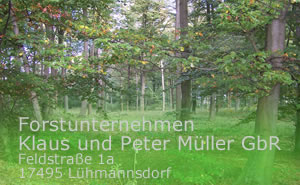 Vorschaubild Land- und Forstwirtschaft GbR Klaus und Peter Müller