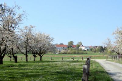 Vorschaubild Gemeinde Hohenleipisch