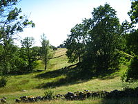 Vorschaubild Naturschutzgebiet Gatschower Wallberge