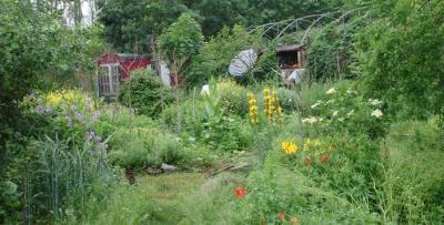40+ Garten Kaufen Seelow, Finden sie hier über 4 angebote von.