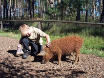 Vorschaubild Haustierpark und Wildpferdgehege Liebenthal