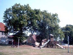 Dorf- und Spielplatz