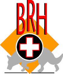 Vorschaubild BRH-Rettungshundestaffel e.V.