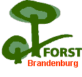 Vorschaubild Oberförsterei Neustadt Landesbetrieb Forst Brandenburg