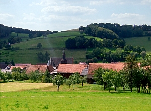 Vorschaubild Weißenhasel - Aus vier Orten wurde ein Dorf