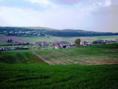 Blick auf den Ortsteil Reckerode