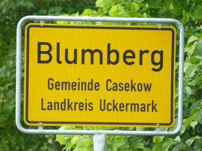 Vorschaubild Blumberg