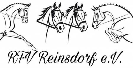 Vorschaubild Reit- und Fahrverein Reinsdorf e.V.