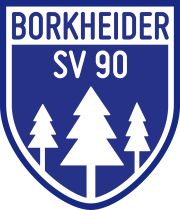 Logo Quelle: www.borkheidersv90.de