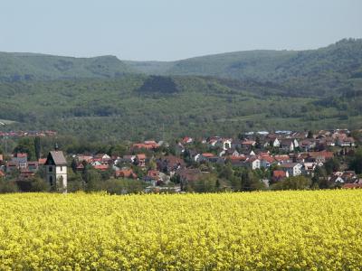 Vorschaubild Gemeinde Dußlingen
