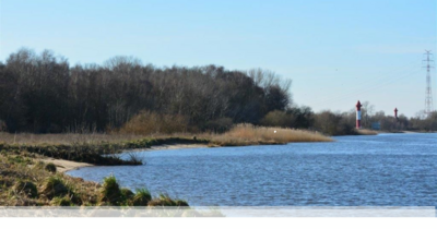 Warflether Sand vom Wasser aus gesehen