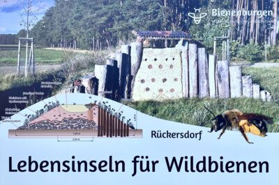 Bienenburg Rückersdorf mit Querschnitt.