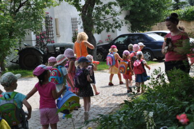 Schulklassen und Kindergartengruppen