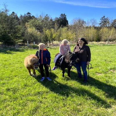 gef&uuml;hrtes Reiten
