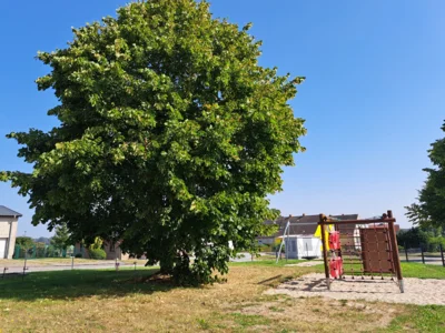 Vorschaubild Spielplatz Allerstorf