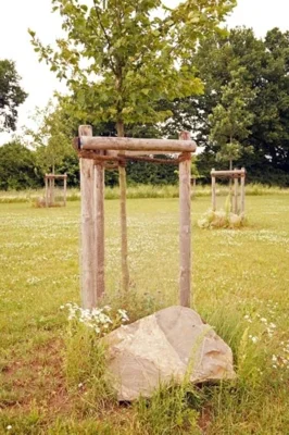 Vorschaubild Friedhof