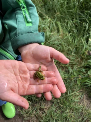 Junge Naturfreunde untersuchen genau, was es an der Seeecke alles gibt.