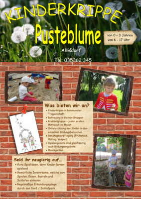 Flyer1