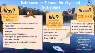 Kids bauen ein Zuhause für Vögel und Fledermäuse