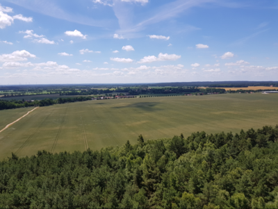 Vorschaubild Aussichtsturm Blumenthal, einer der höchsten, hölzernen Aussichtstürme Deutschlands