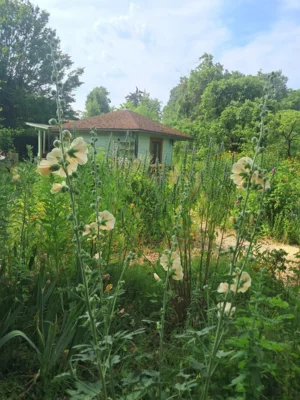 Vorschaubild Café im Kräutergarten