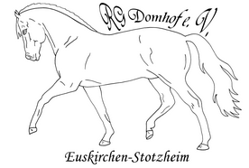Bild von Reitgemeinschaft Domhof e.V.