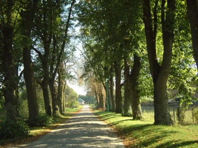 Bild von Brunstorf