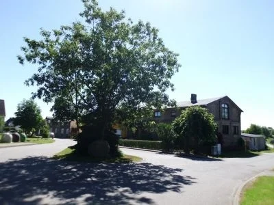 Bild von Ehmkenhagen