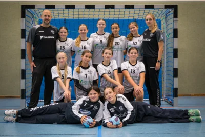 Vorschaubild D I - Jugend des Handball-Sportverein Falkensee 04 e.V.
