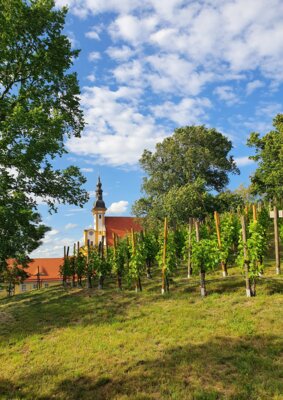 Bild von Neuzeller Kloster-Winzer e.V.